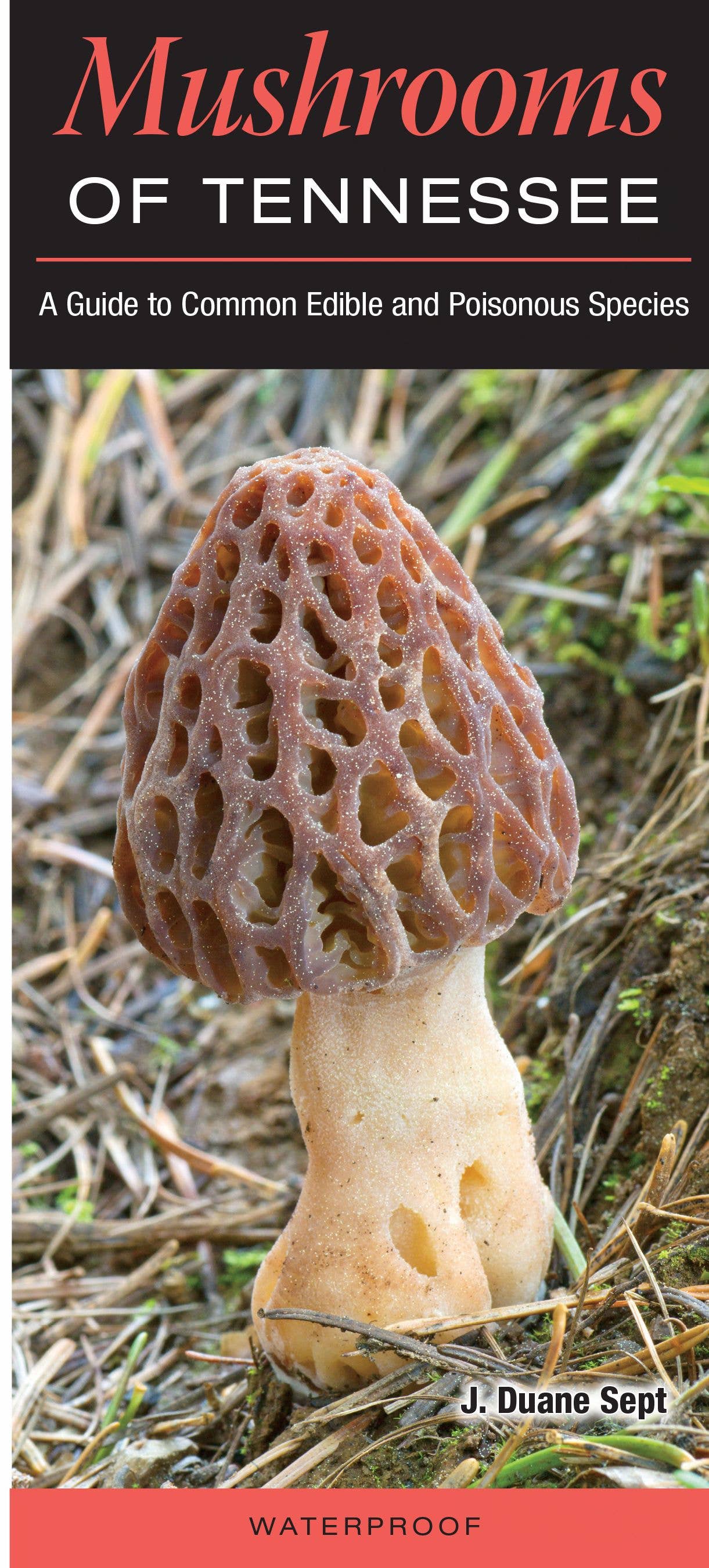 Mushrooms of Tennessee