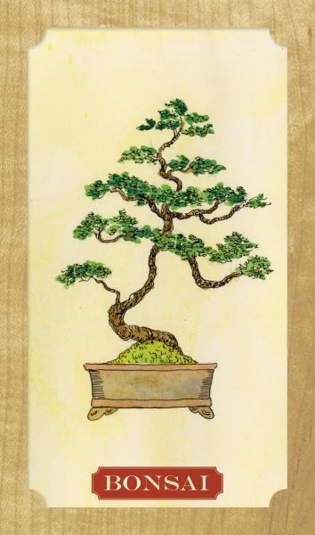 Tree of Life Oracle by Schiffer Publishing