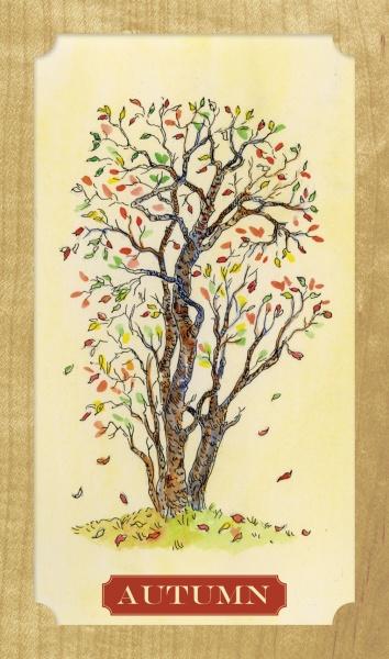 Tree of Life Oracle by Schiffer Publishing