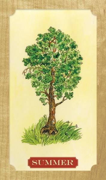 Tree of Life Oracle by Schiffer Publishing