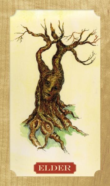 Tree of Life Oracle by Schiffer Publishing