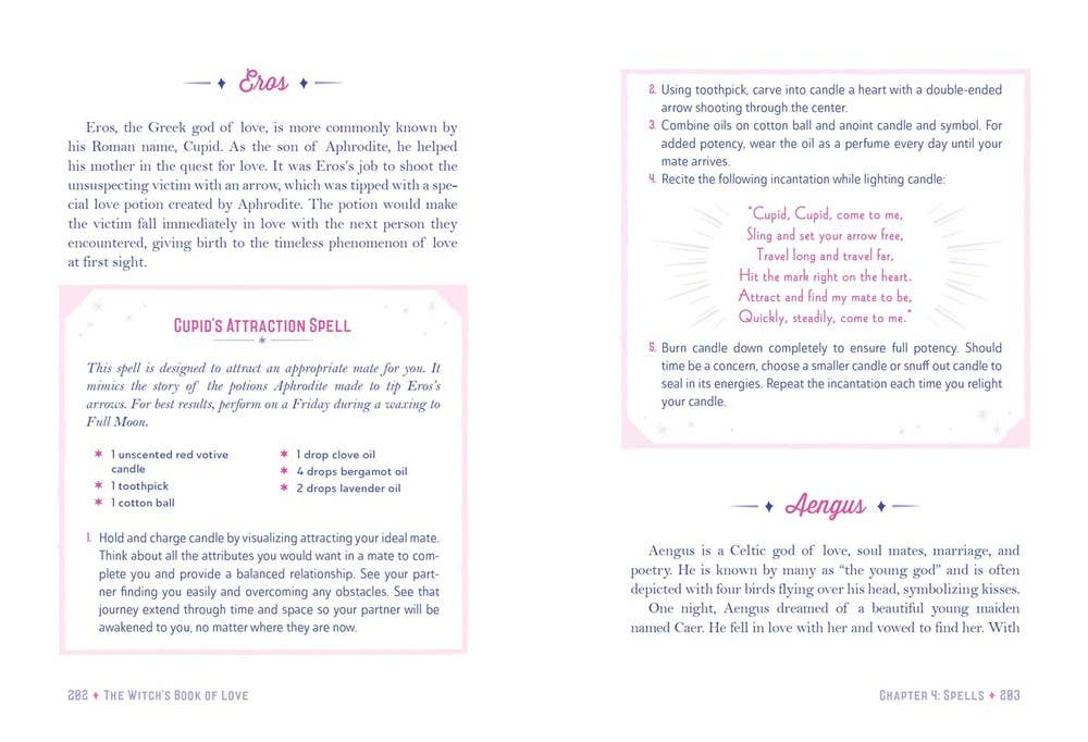 Witch's Book of Love: Hundreds of Magical Ways to Attract