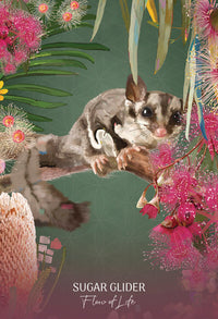 Wild Wisdom Australia Oracle