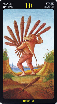 Bosch Tarot