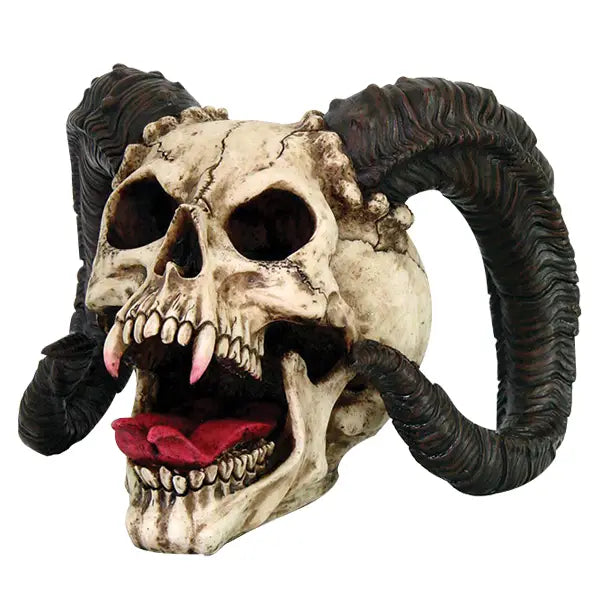 Ram Horned Skull