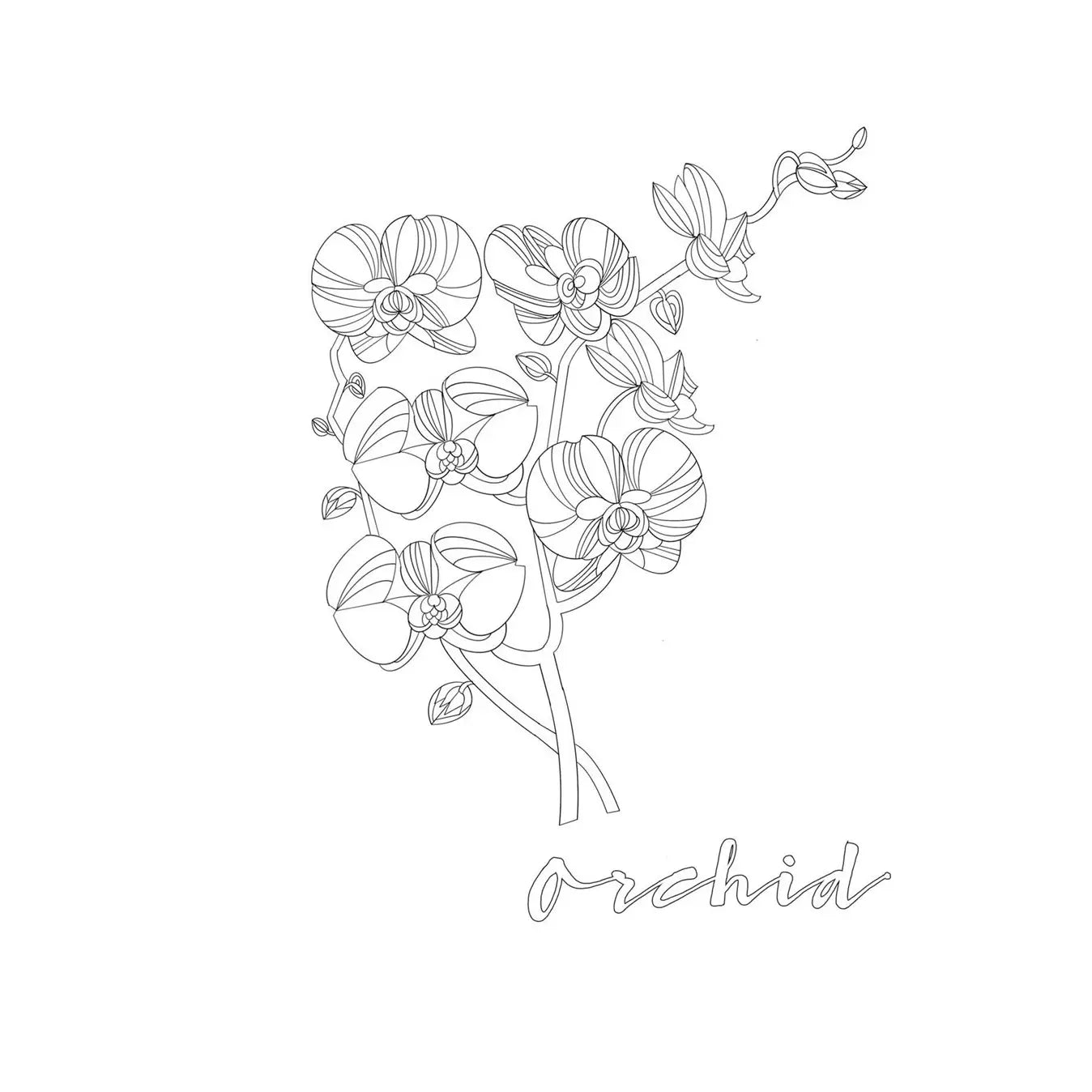 Coloring Book Aquarius