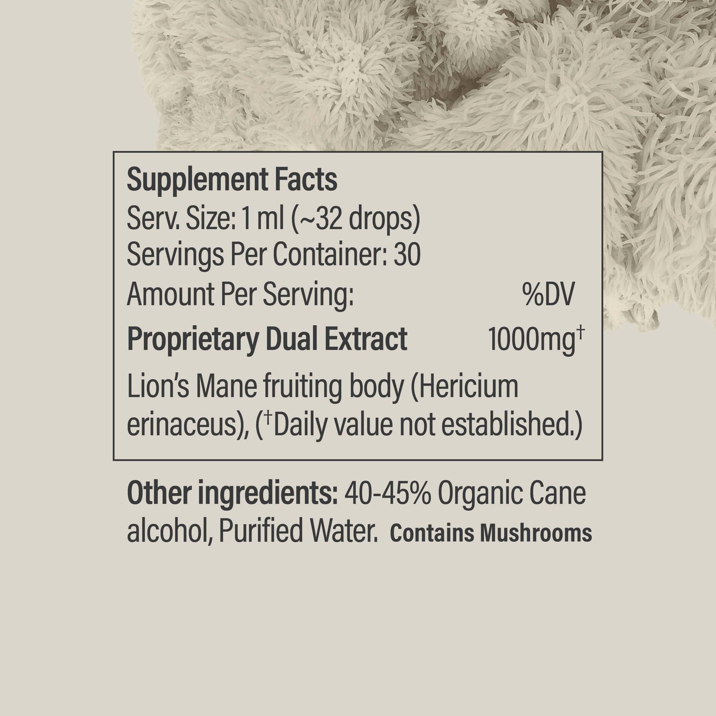 Lion’s Mane Tincture