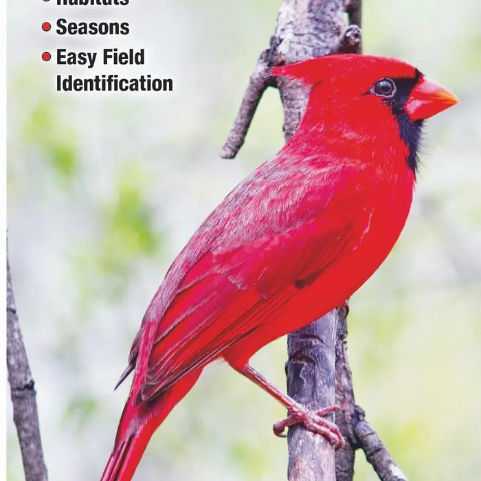 Birds of Kentucky Fold Out Pamphlet