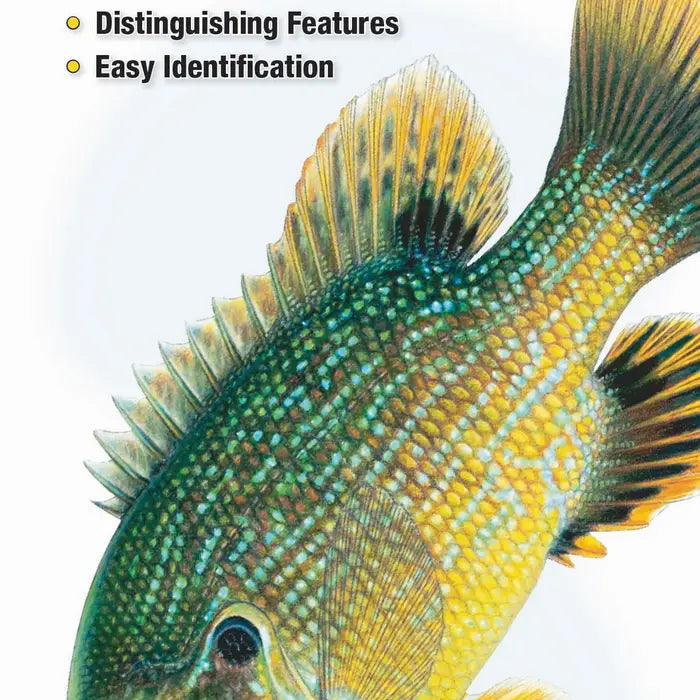 Fishes of Tennessee Fold Out Pamphlet