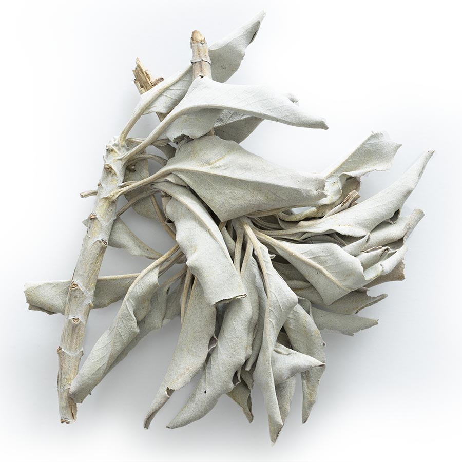 White Sage Incense