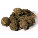 High John Root