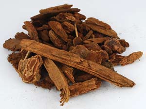 Jezebel Root