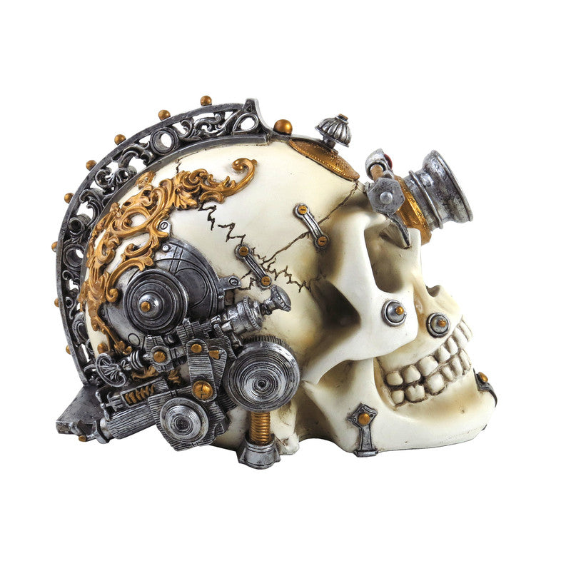 Erasmus Darwin Steam-Cerbrum Skull