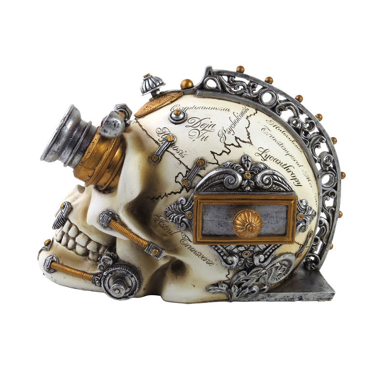 Erasmus Darwin Steam-Cerbrum Skull