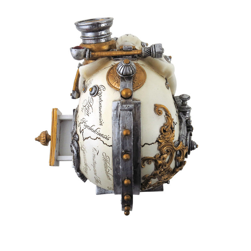 Erasmus Darwin Steam-Cerbrum Skull