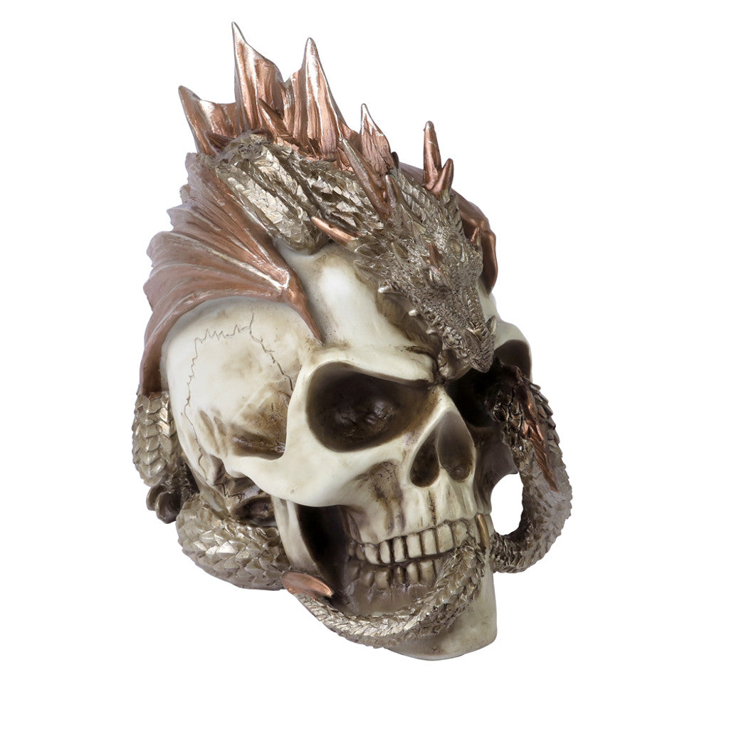 Dragon Keepers Skull