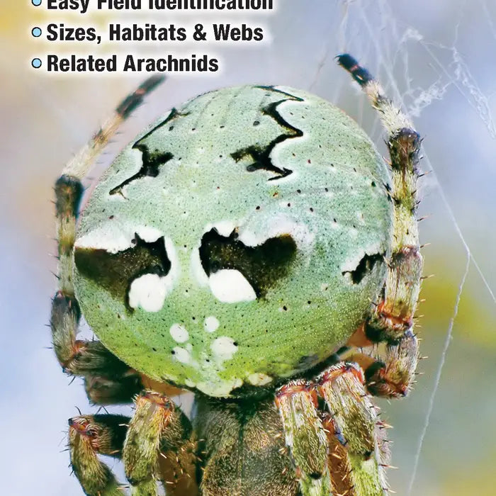 Spiders of Tennessee Fold Out Pamphlet