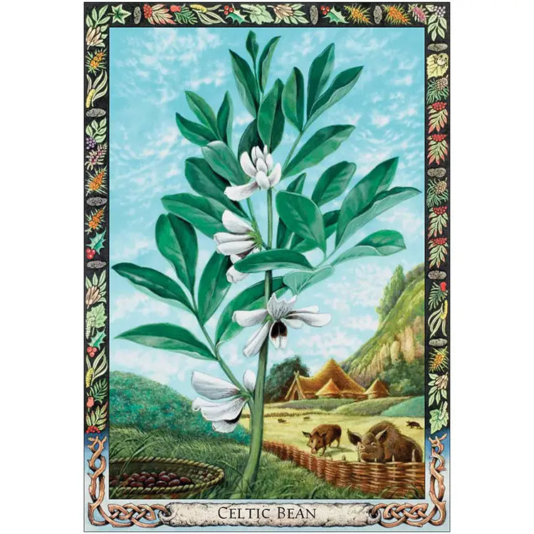 Druid Plant Oracle