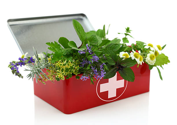 Herbal First Aid Class