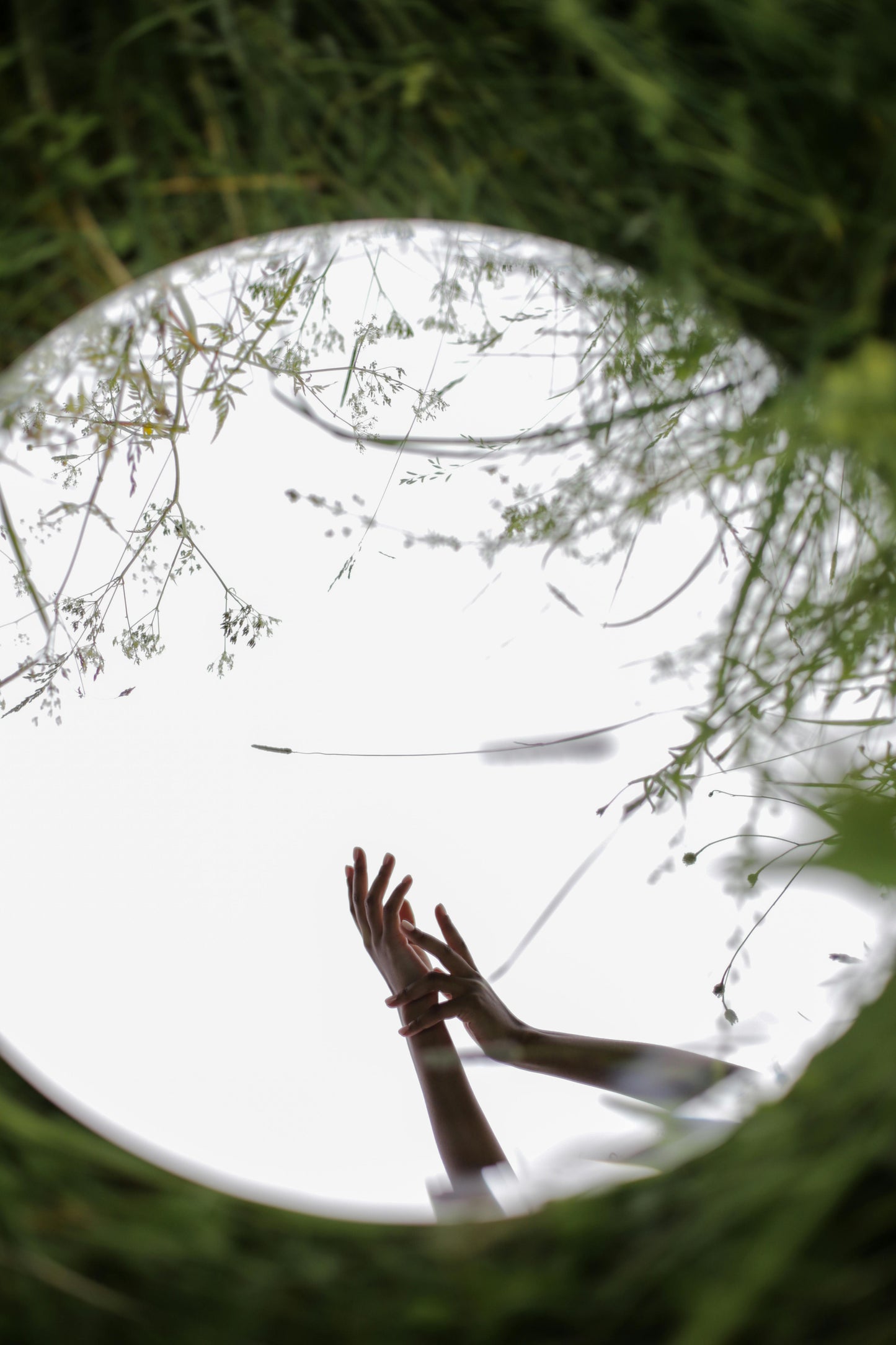 Herbal Hearth Circle: Summer Solstice Plant Rituals