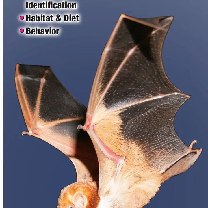 Bats of Eastern North America