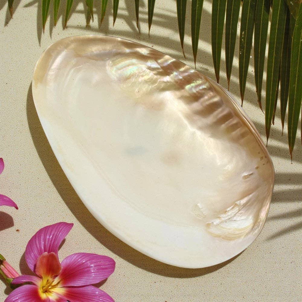 Cebu Clam Shell Bowl - Natural Eco-Friendly Decor