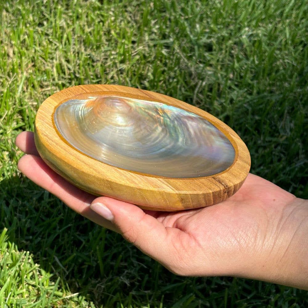 Bowl - Shell Wood