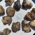 Moroccan Truffle Chalcedony – Rare Botryoidal Crystal for Grounding & Renewal