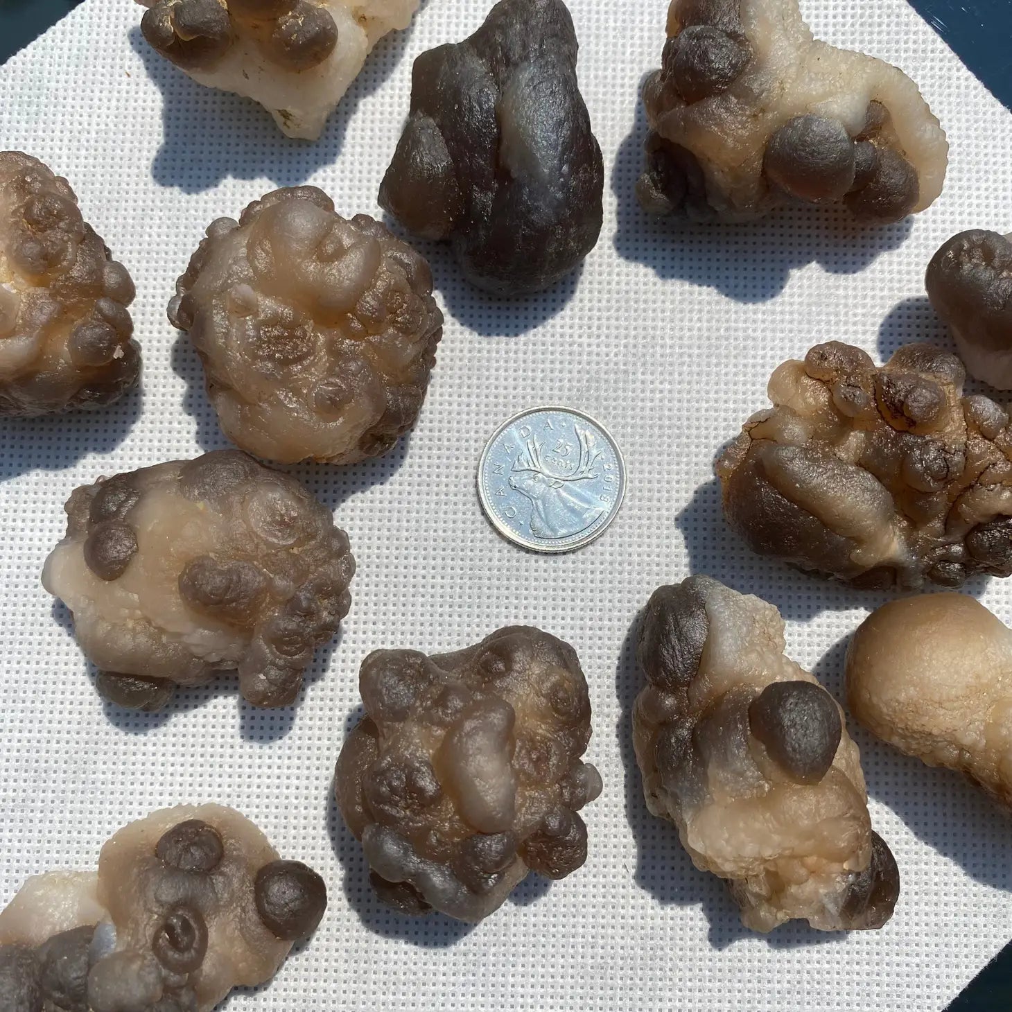 Moroccan Truffle Chalcedony – Rare Botryoidal Crystal for Grounding & Renewal