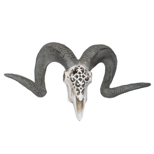 Skull Ram