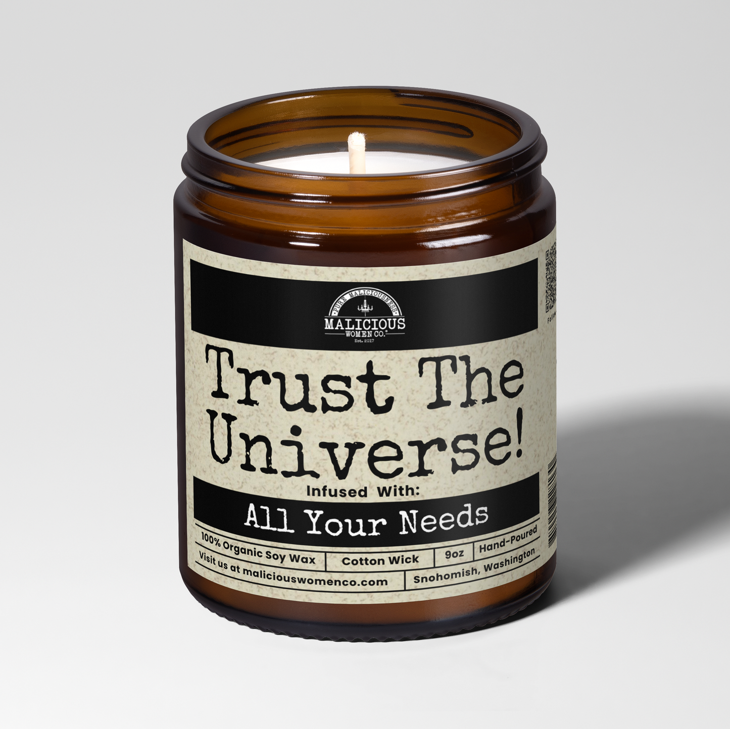 Trust The Universe 9oz Witch Candle - All Your Needs Infused