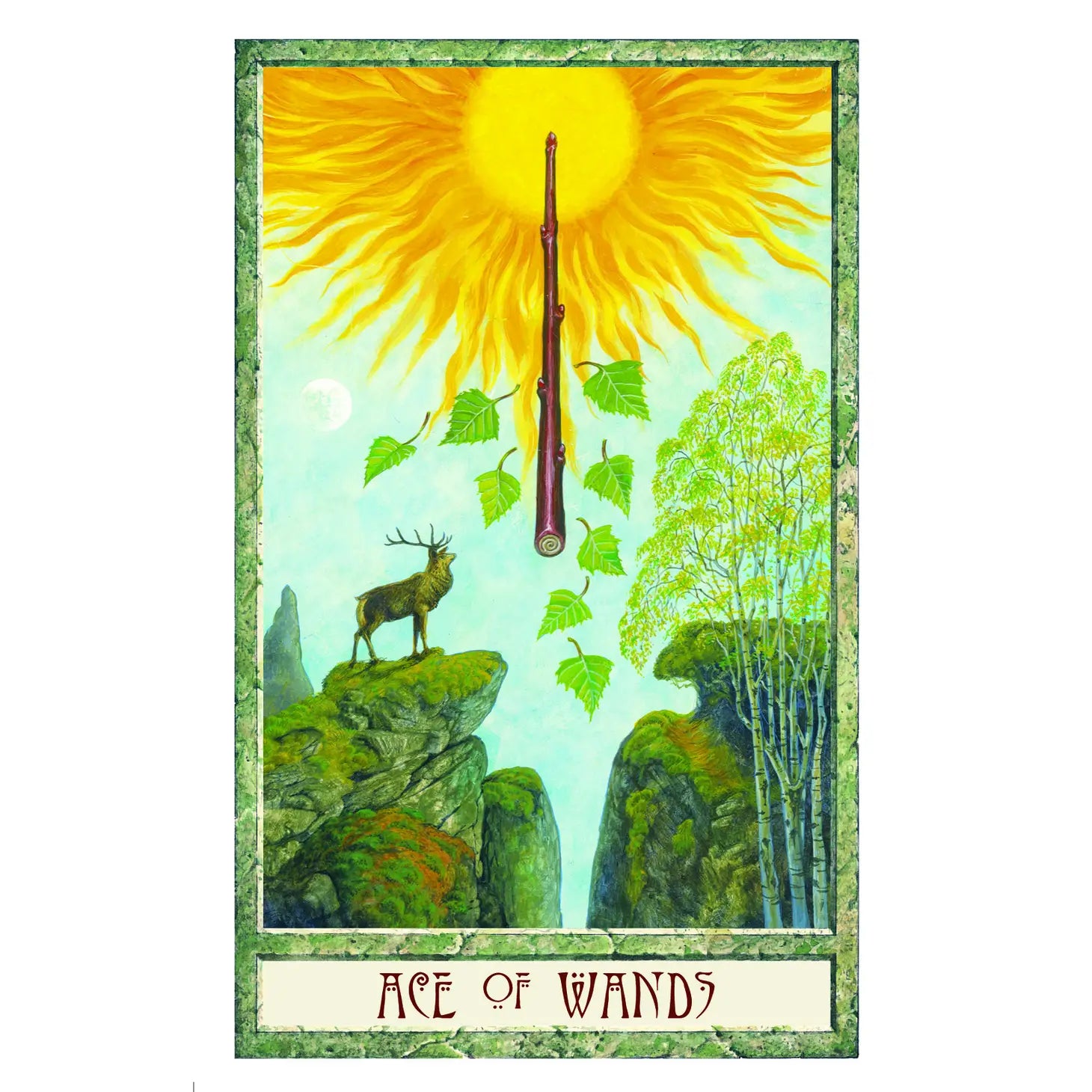 The Druidcraft Tarot