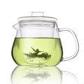 Glass Teapot with Infuser and Lid 16oz