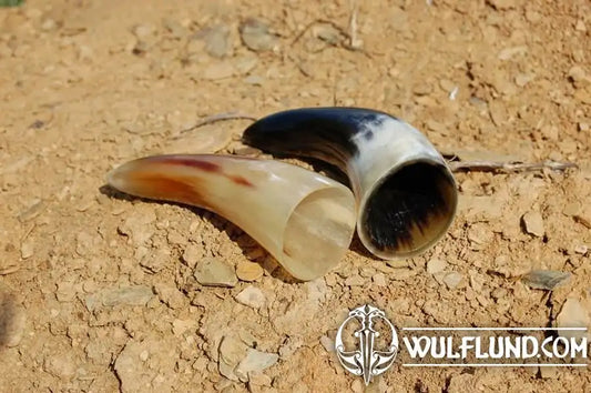 Schnapps Horn