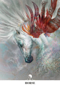 Chinese Oracle