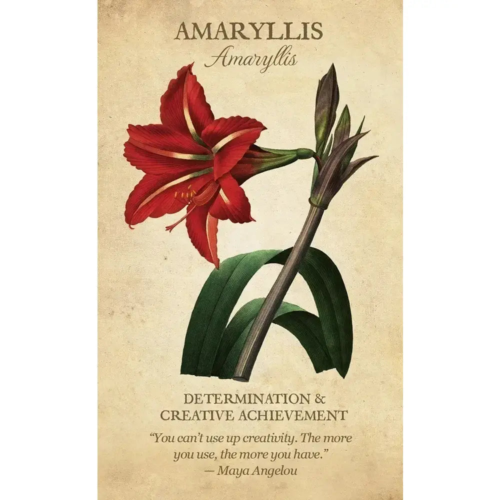 Botanical Inspirations Oracle Deck & Book Set