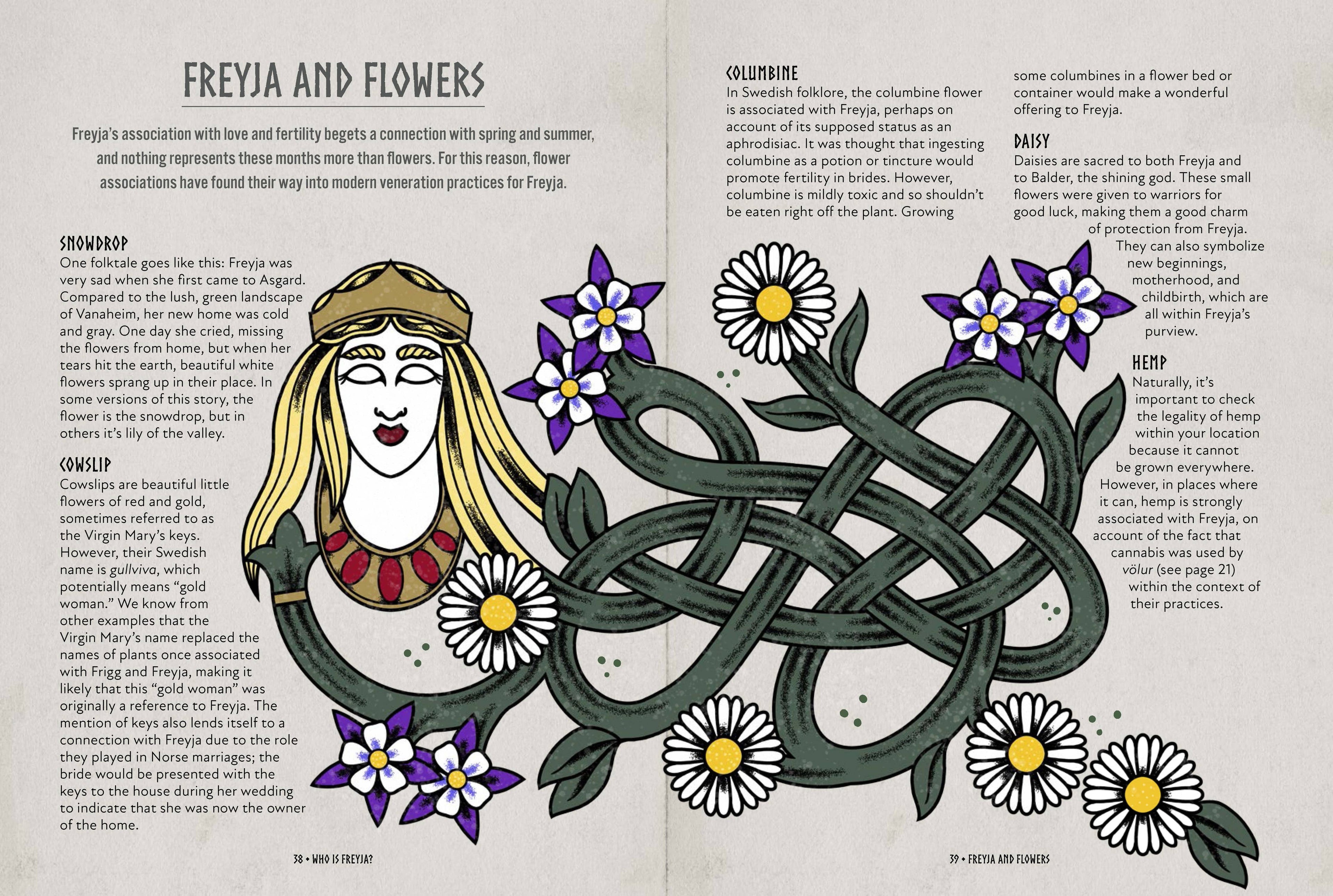 Freyja: An Illustrated Guide to the Norse Goddess of Magic, Love & War