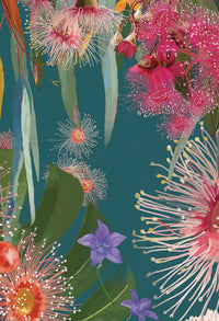 Wild Wisdom Australia Oracle