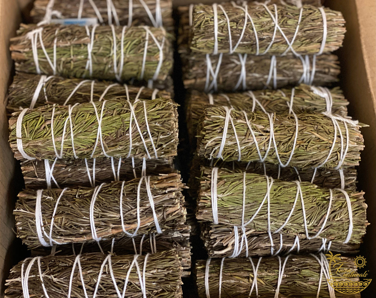 Rosemary Bundle