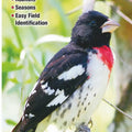 Birds of Tennessee Fold Out Pamphlet