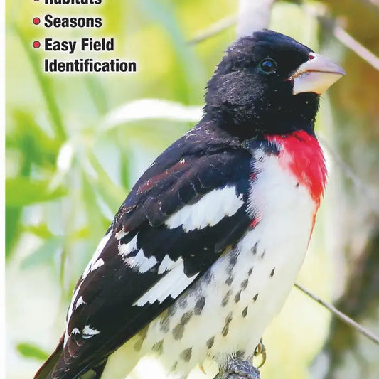 Birds of Tennessee Fold Out Pamphlet