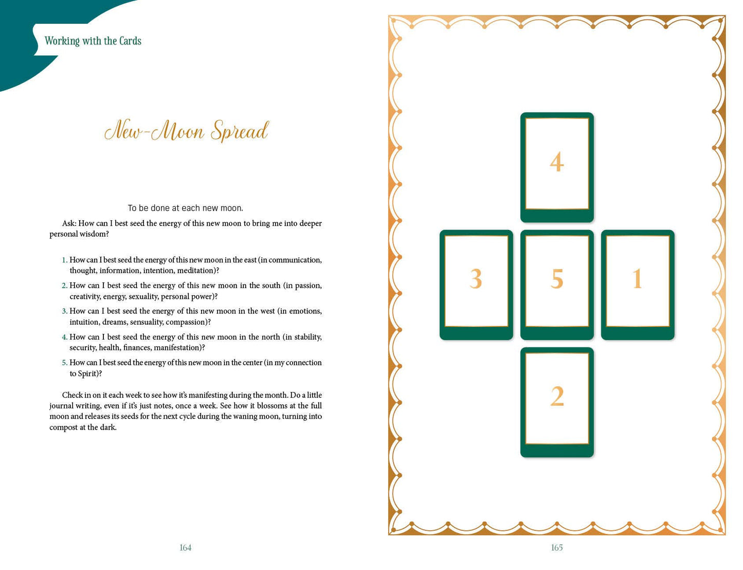 Gaian Tarot: Healing the Earth, Healing Ourselves, 2nd Ed.