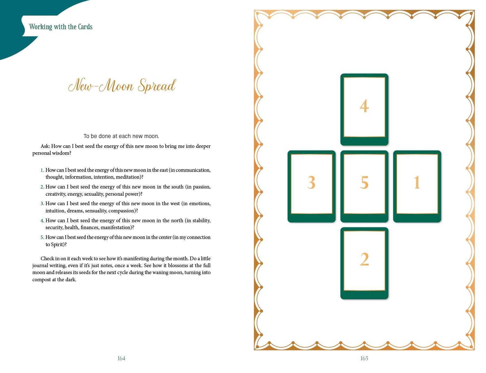 Gaian Tarot Deck & Guidebook – 2nd Edition (78 Cards)