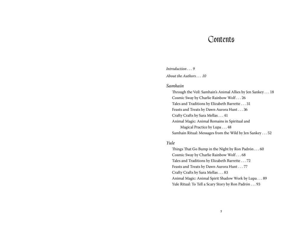 Llewellyn's 2027 Sabbats Almanac