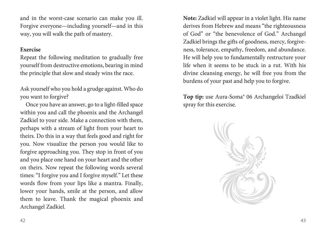 Oracle of the Phoenix by Christine Arana Fader - 44 Card Rebirth & Transformation Deck