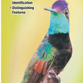 Hummingbirds of North America