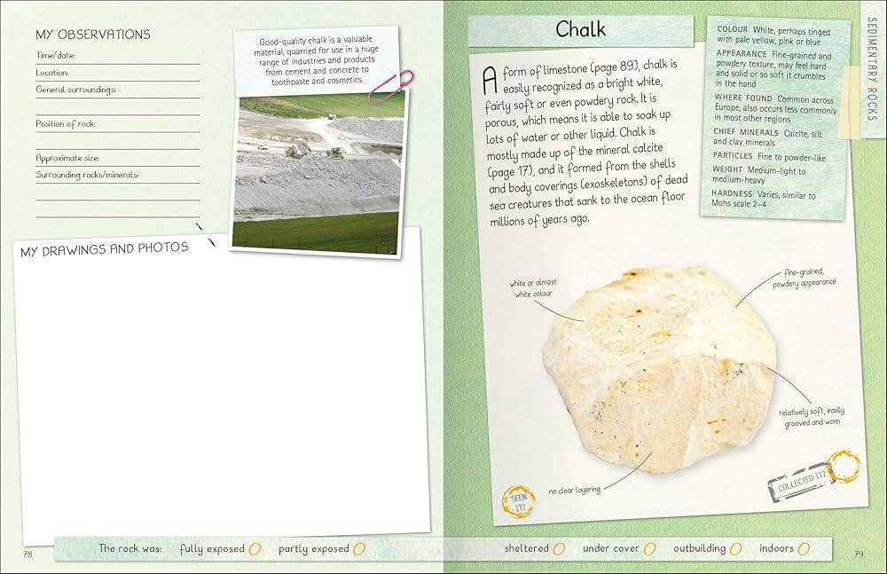 Rocks And Minerals Handbook