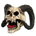 Ram Horned Skull