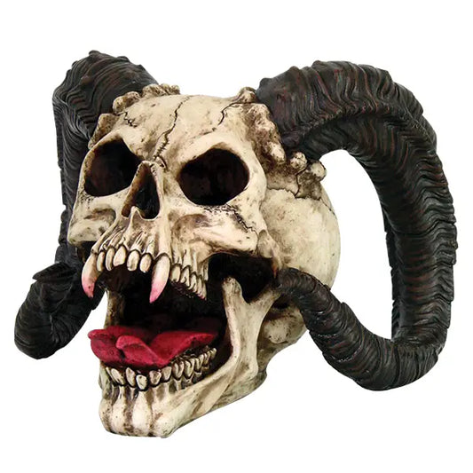 Ram Horned Skull