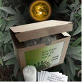 World Magic Sacred White Sage Votive Candle - Purification & Cleansing
